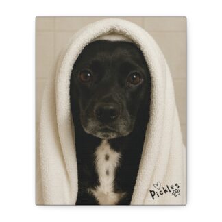 Canvas Print - Towel Dry - Dog Spa Day