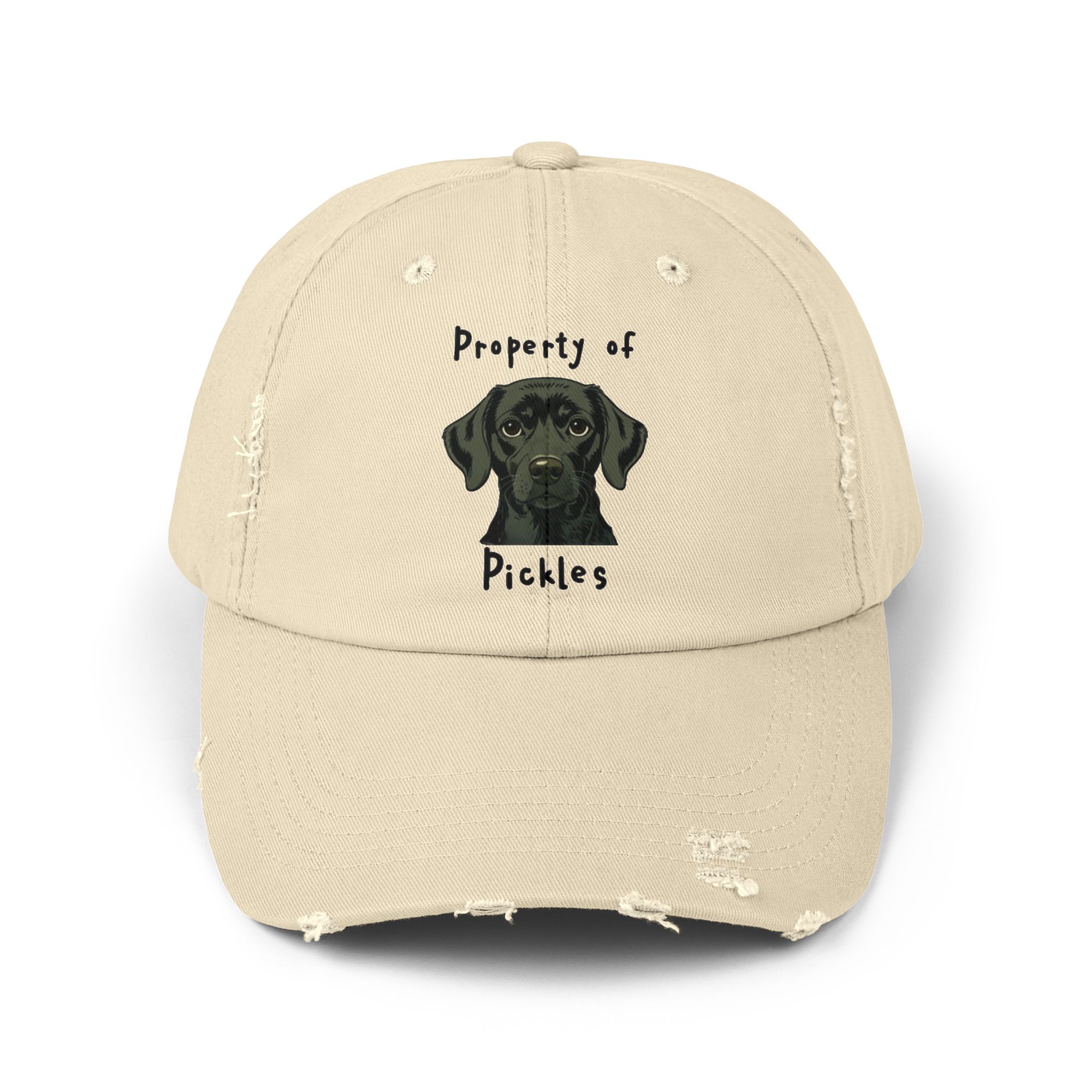 Property of Pickles Distressed Cap - Funny Hat