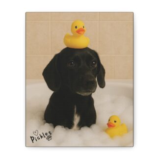 Canvas Print - Splish Splash - Dog Spa Day