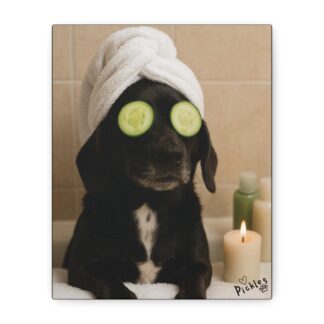 Canvas Print - Relax and Recharge - Dog Spa Day