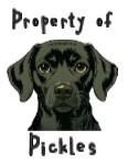 Property of Pickles